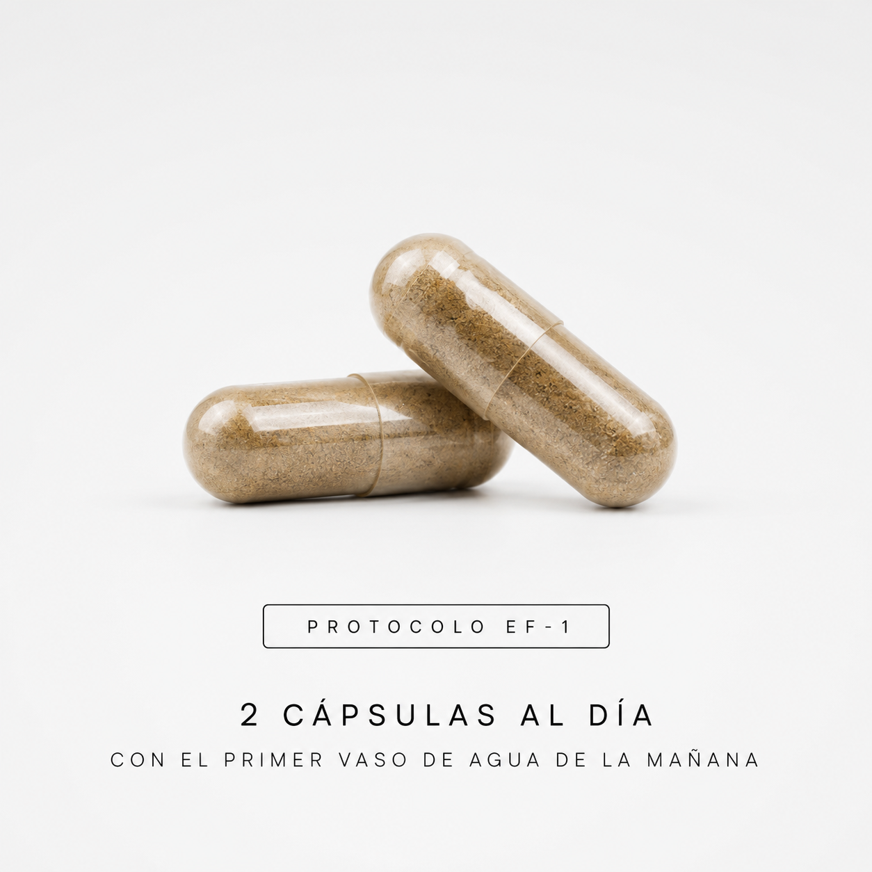 EF-1 | Adaptógeno Natural