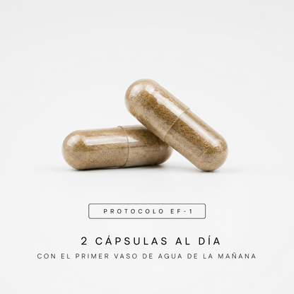 EF-1 | Adaptógeno Natural